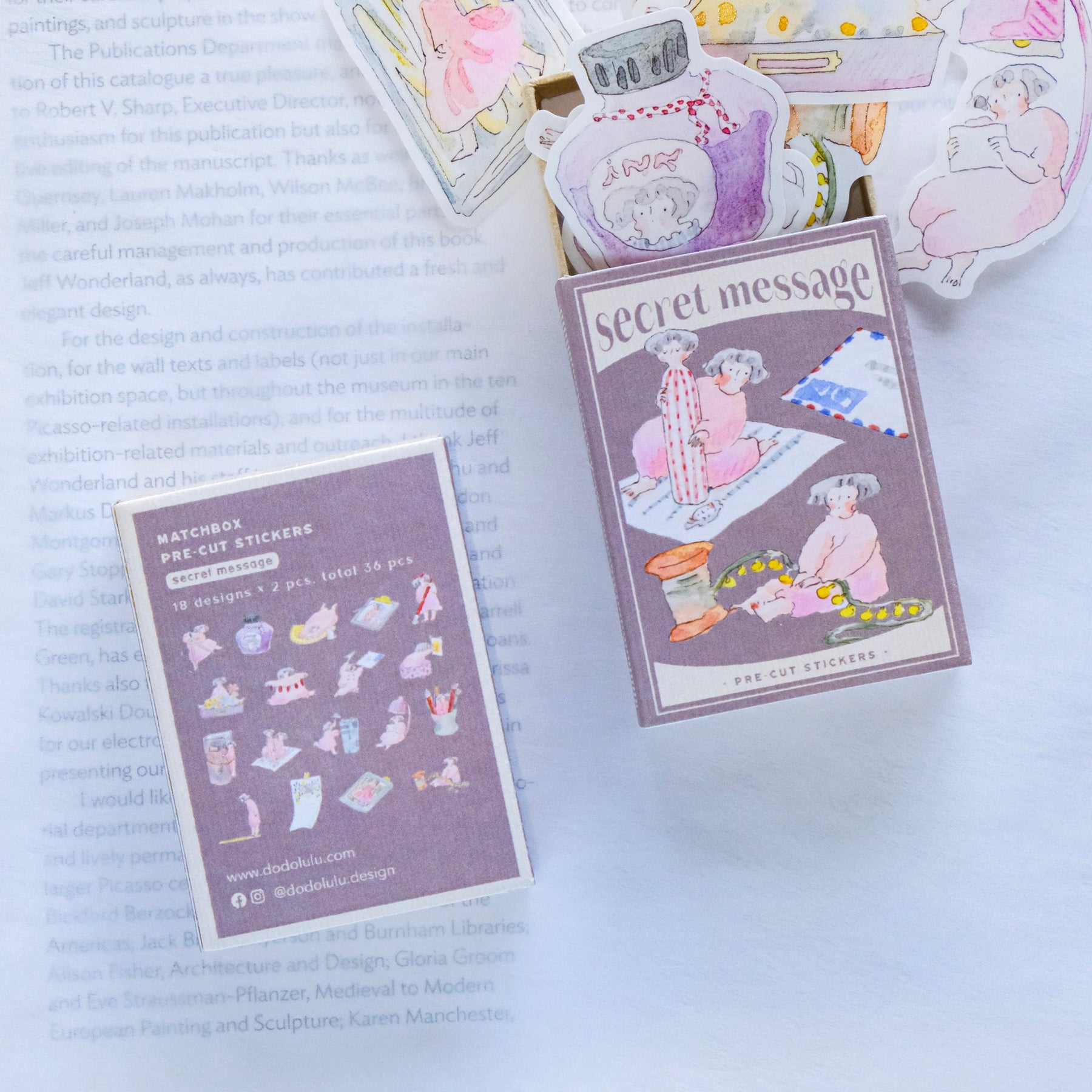 Dodolulu - Planner Sticker - Secret Message (Matchbox)