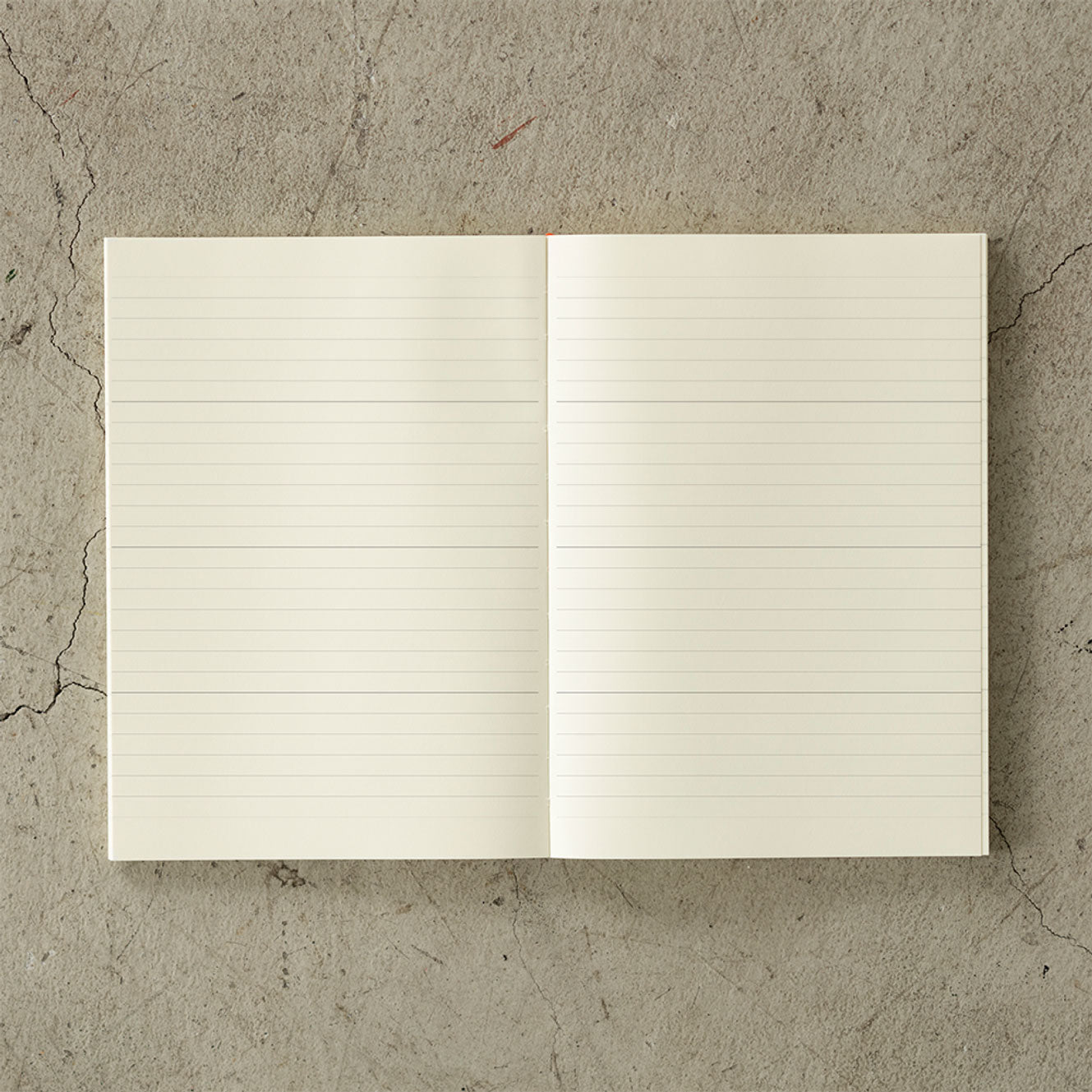 Midori - 2025 Diary - MD Notebook - A5