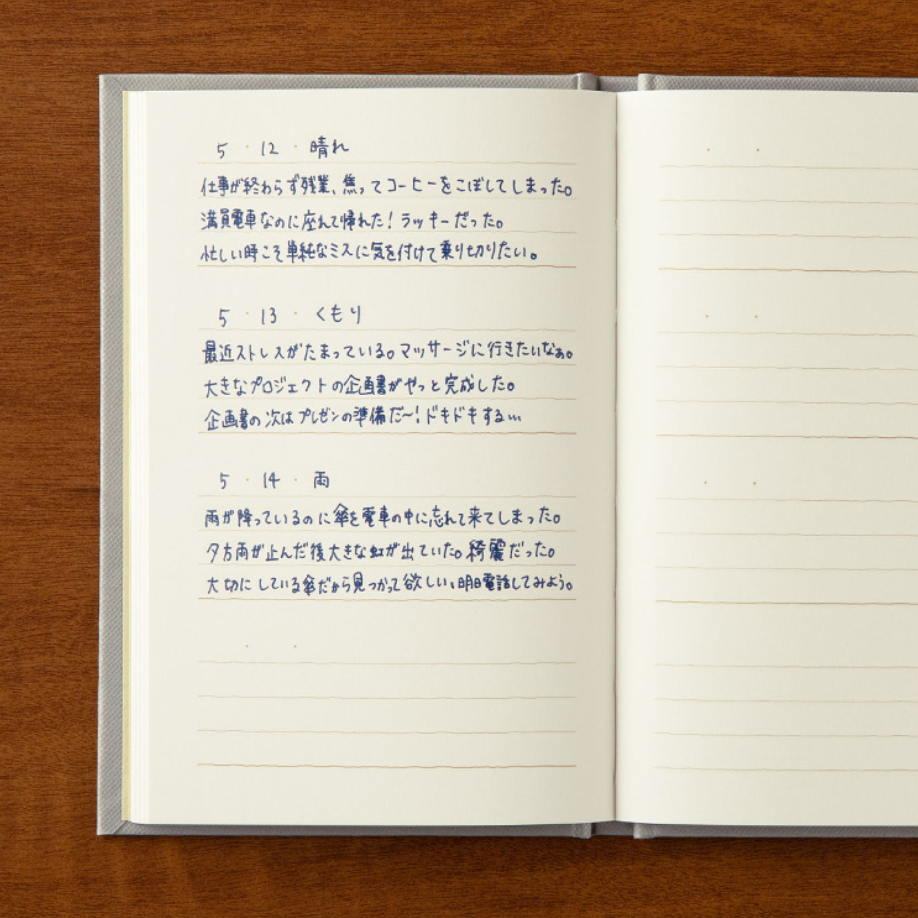 Midori - Journal - 3 Minute Diary - Gray