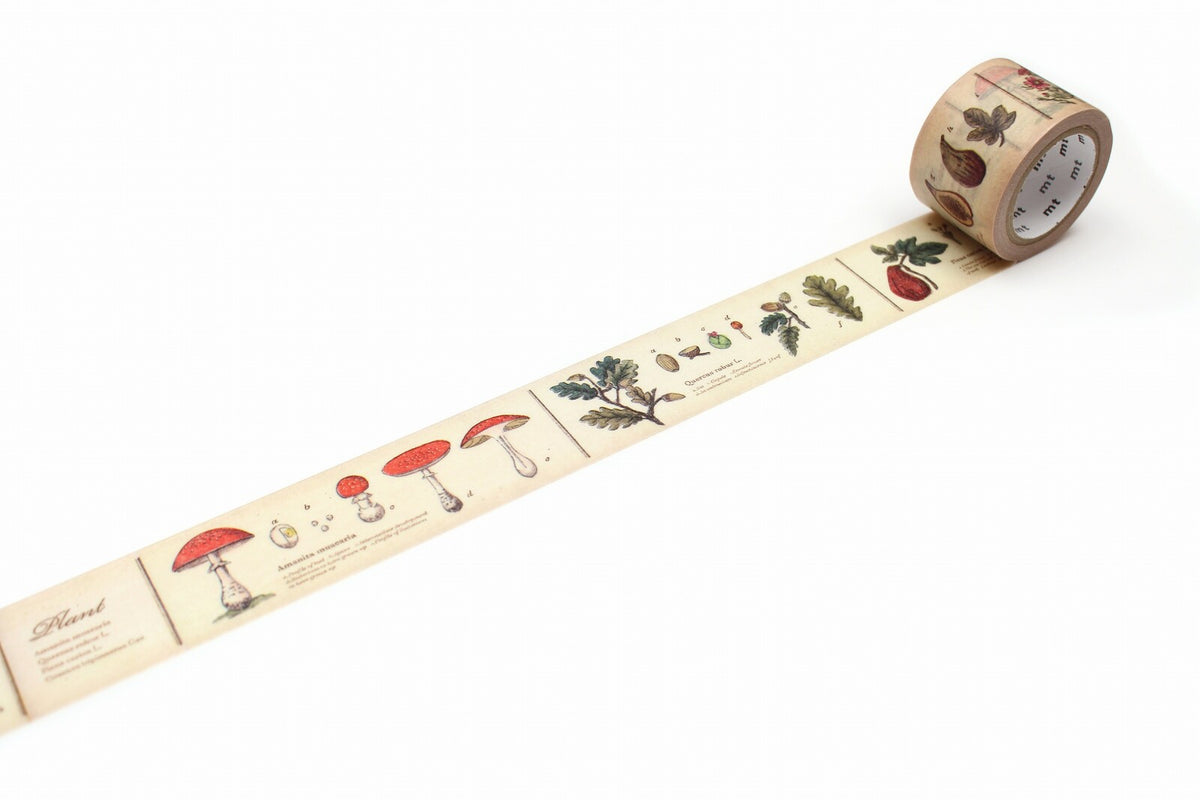 MT Masking Tape - Washi Tape - Encyclopedia Plants