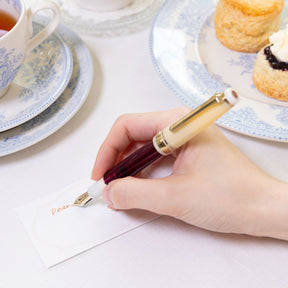 Sailor - Fountain Pen - ProGear Slim - Tea Time #4 - Scone