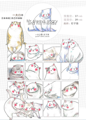 Nailyo - Washi Tape -  Angry Cats