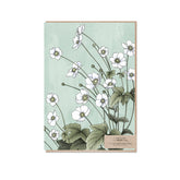 Typoflora - Card - Japanese Anemones