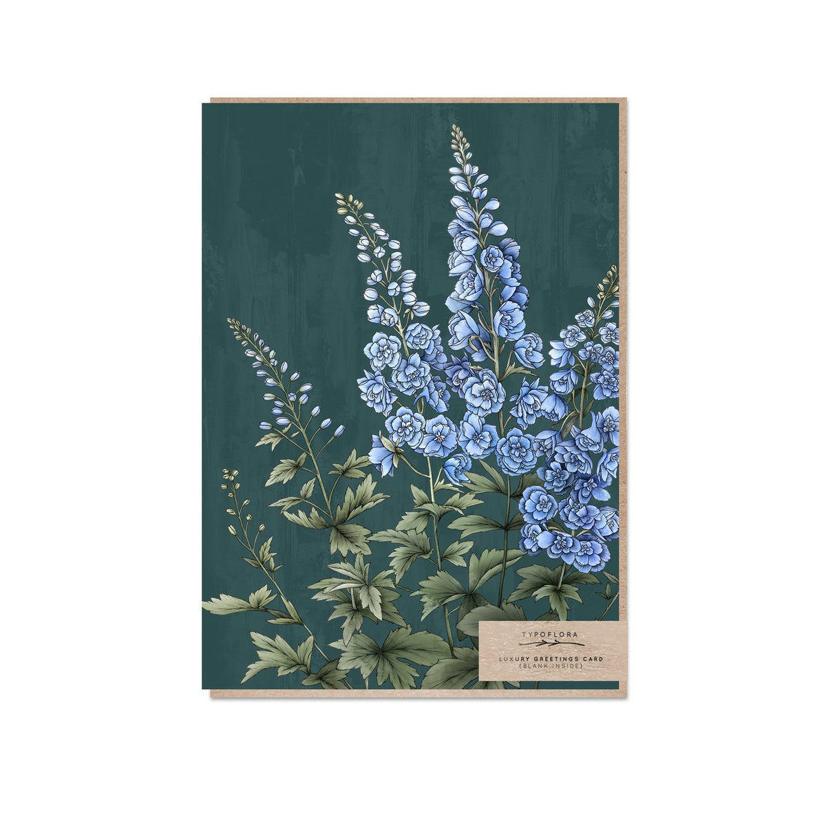 Typoflora - Card - Delphiniums