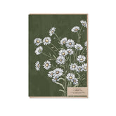 Typoflora - Card - Daisies