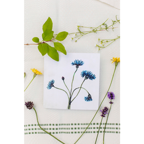 Bookbinders Design - Card - Cornflower